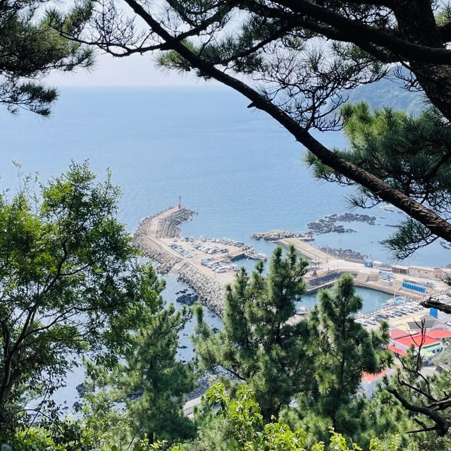 high view from Jejigi Oreum
