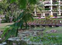 #佳藍汶萊度假村Nexus Resort & Spa Karambunai-馬來西亞沙巴