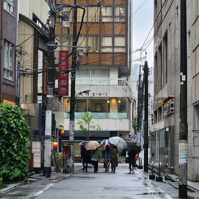โตเกียวในวันที่ฝนตก โลกเดินช้า
