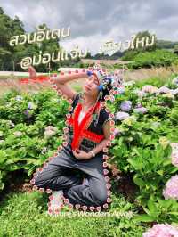 สวนอีเดน รีสอร์ท @ม่อนแจ่ม เชียงใหม่