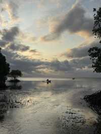 Dancing Trees and Golden Seas: Walakiri’s Hidden Magic