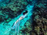 🪸10년 전 보홀 바다의 모습을 그대로 간직한 숨겨진 스팟🐠