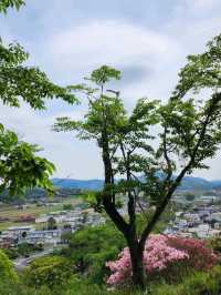 【山口グルメ】蛍街道西ノ市
