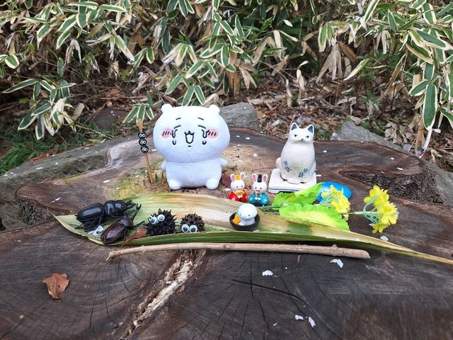 春天的主題就是雪與櫻花，輕井澤跟大宮的六日五夜