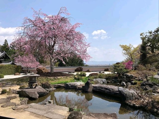 Temple with a Peaceful Vibe