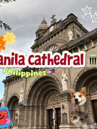 ✨🇵🇭🪿Lost in Manila Philippines 🐶4 days 3 night