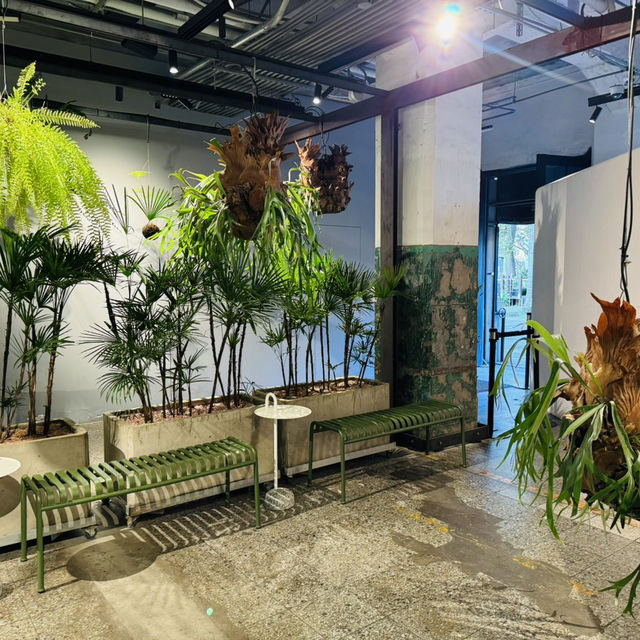 From Drink to Decor – SunnyHills Style