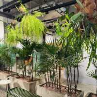 From Drink to Decor – SunnyHills Style