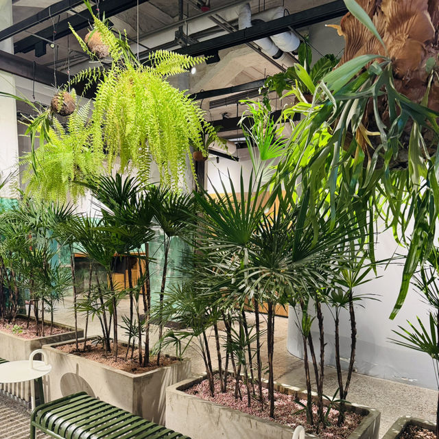 From Drink to Decor – SunnyHills Style