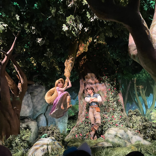 【🇯🇵東京】東京ディズニーリゾート