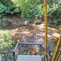 บ้านเขากอด ร้านอาหารริมลำธาร