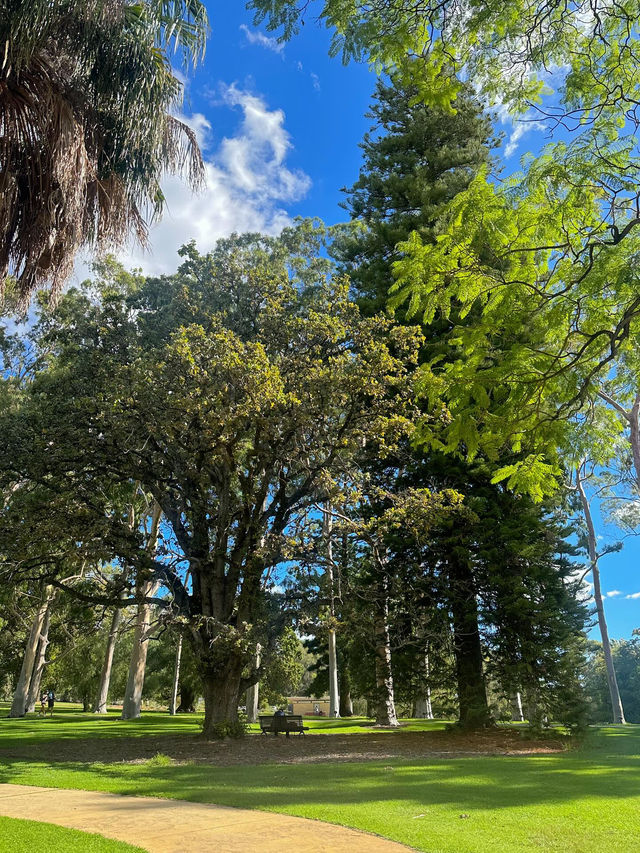 Kings Park and Botanic Garden