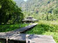 🌿 Thale Ban National Park: A Backpacker’s Guide to Southern Thailand’s Emerald Secret! 