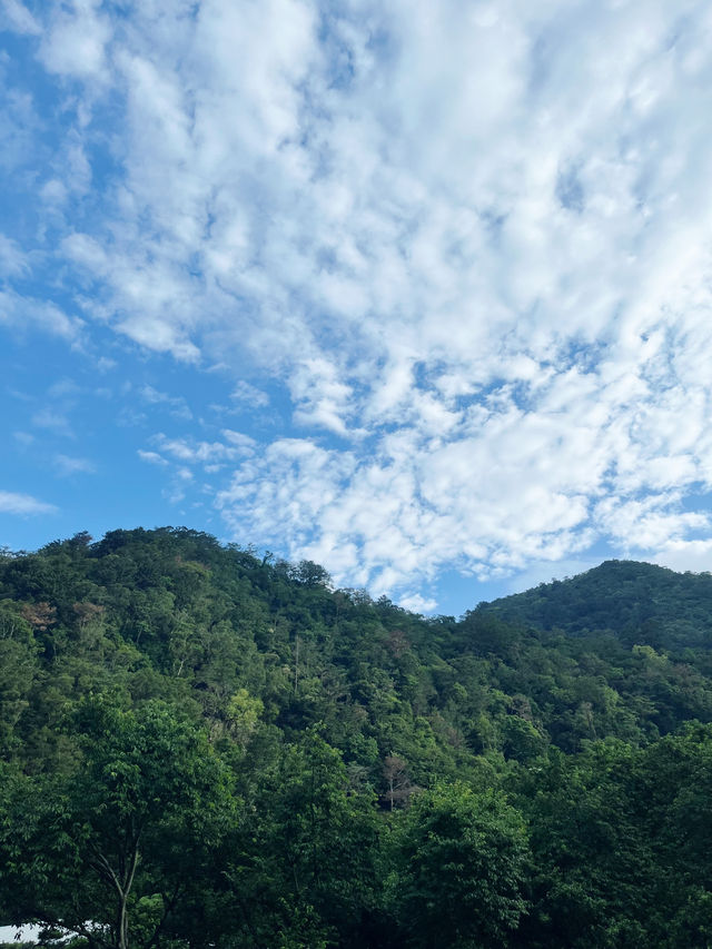 山中湯語：埔里箱根溫泉會館的靜謐時光