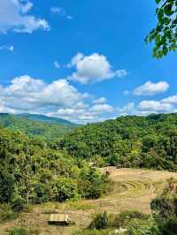 Nature’s Springtime Splash in Chiang Mai