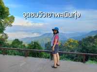 ชมวิวทะเลหมอกเขาพะเนินทุ่ง