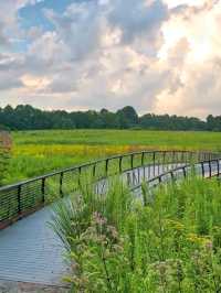 Longwood Gardens – A Living Canvas in Pennsylvania, USA