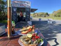 一頓龍蝦早餐開啟南島的藍｜Kaikoura 海岸半日小旅行
