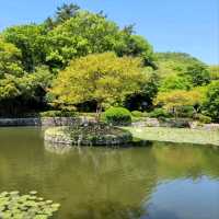 Spring’s Ultimate Chill Spot