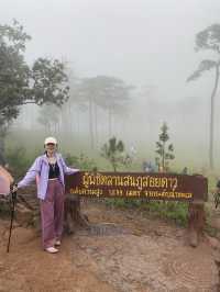 ภูสอยดาว หนาวเกินต้านนน