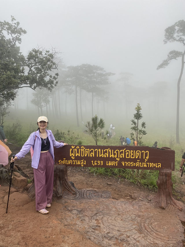 ภูสอยดาว หนาวเกินต้านนน