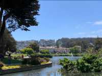 A Morning of Magic: Discovering the Palace of Fine Arts in Spring