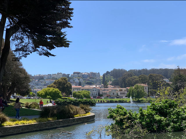 A Morning of Magic: Discovering the Palace of Fine Arts in Spring