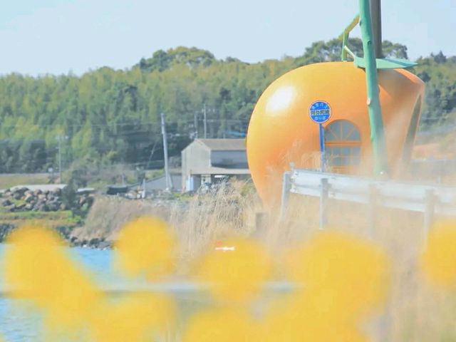 Title: Nagasaki – A City of History, Healing, and Harmony