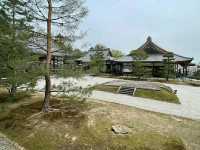 Arashiyama Bamboo Grove – A Serene Escape in Kyoto