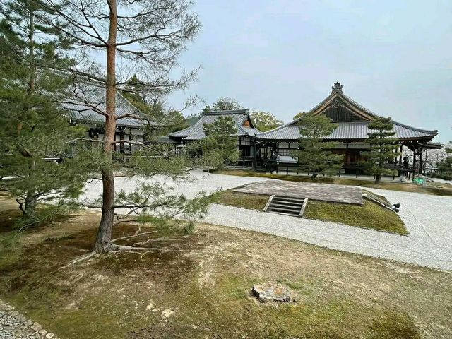 Arashiyama Bamboo Grove – A Serene Escape in Kyoto