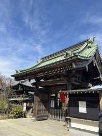 Hasedera Temple ✨ วัดเก่าแก่ในเมือง Kamakura