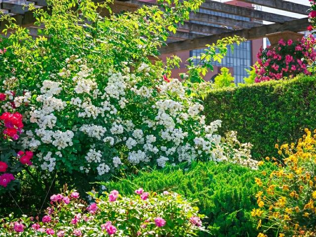 Yamashita Park – Yokohama’s Waterfront Gem