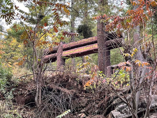 A Hike to Remember in Thimphu -Kuenselphodrang National Park