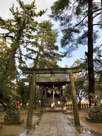 A Slow Day in Amanohashidate – Mist, Myths & a Bit of Magic
