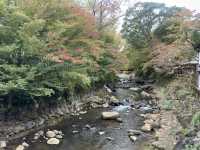 Tokko no Yu: Soaking in Shuzenji's Legendary Waters