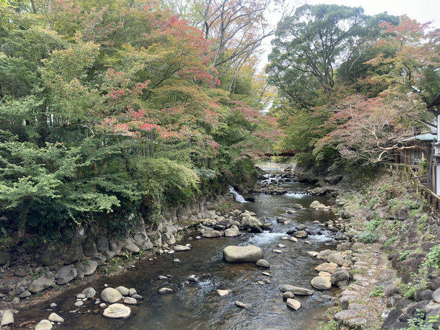 Tokko no Yu: Soaking in Shuzenji's Legendary Waters