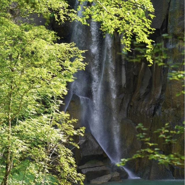🫔 端午建議｜5-8月一定要來20℃的長白山避暑 🏞️