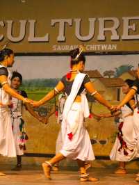 Premium accommodation in Chitwan area