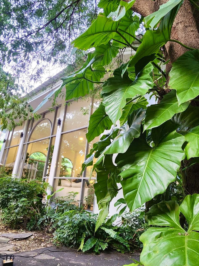 Hidden in Rama 9,but feels like a forest