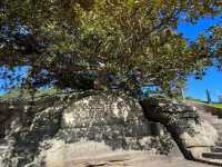 Royal Botanic Garden Sydney – Scenic, Spacious, and Free!