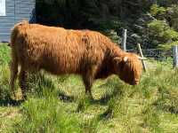 Stepping Back in Time at The Skye Museum of Island Life
