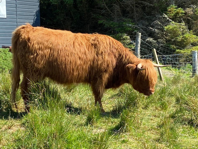 Stepping Back in Time at The Skye Museum of Island Life