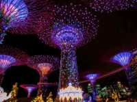 BEST VIEW IN GARDEN BY THE BAY SINGAPORE