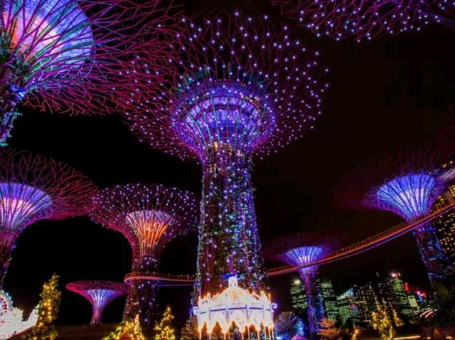 BEST VIEW IN GARDEN BY THE BAY SINGAPORE