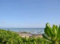 これぞ絶景！エメラルドブルーのシンリ浜🌊✨