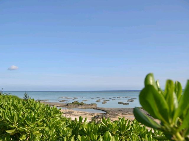 これぞ絶景！エメラルドブルーのシンリ浜🌊✨