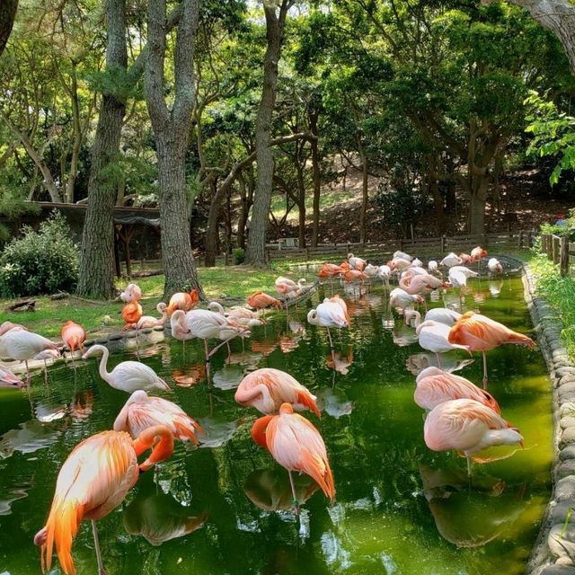 【福岡】海の中道海浜公園