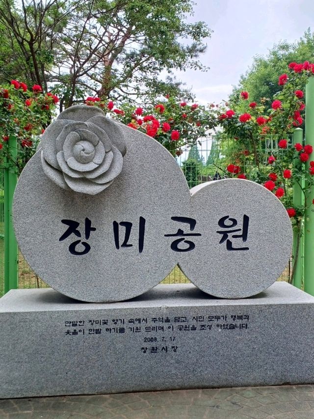 장미 향에 취하는 봄날의 휴식