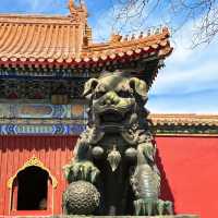 Life Advice: Know This Before Visiting Yonghe Temple 🙏