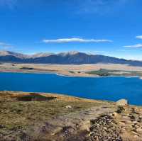 Stellar Views and Sky-High Vibes at Mount John Observatory